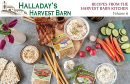 Recipe Book - Volume 6