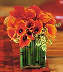 Bronze Callas