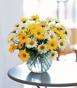 Daisy Bubble Bowl