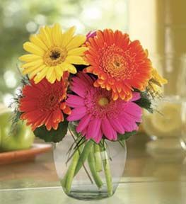 Gerbera Bouquet