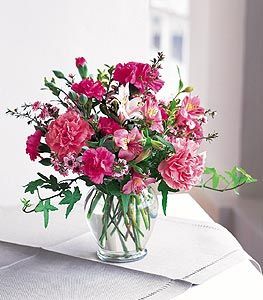 Cheerful Carnations